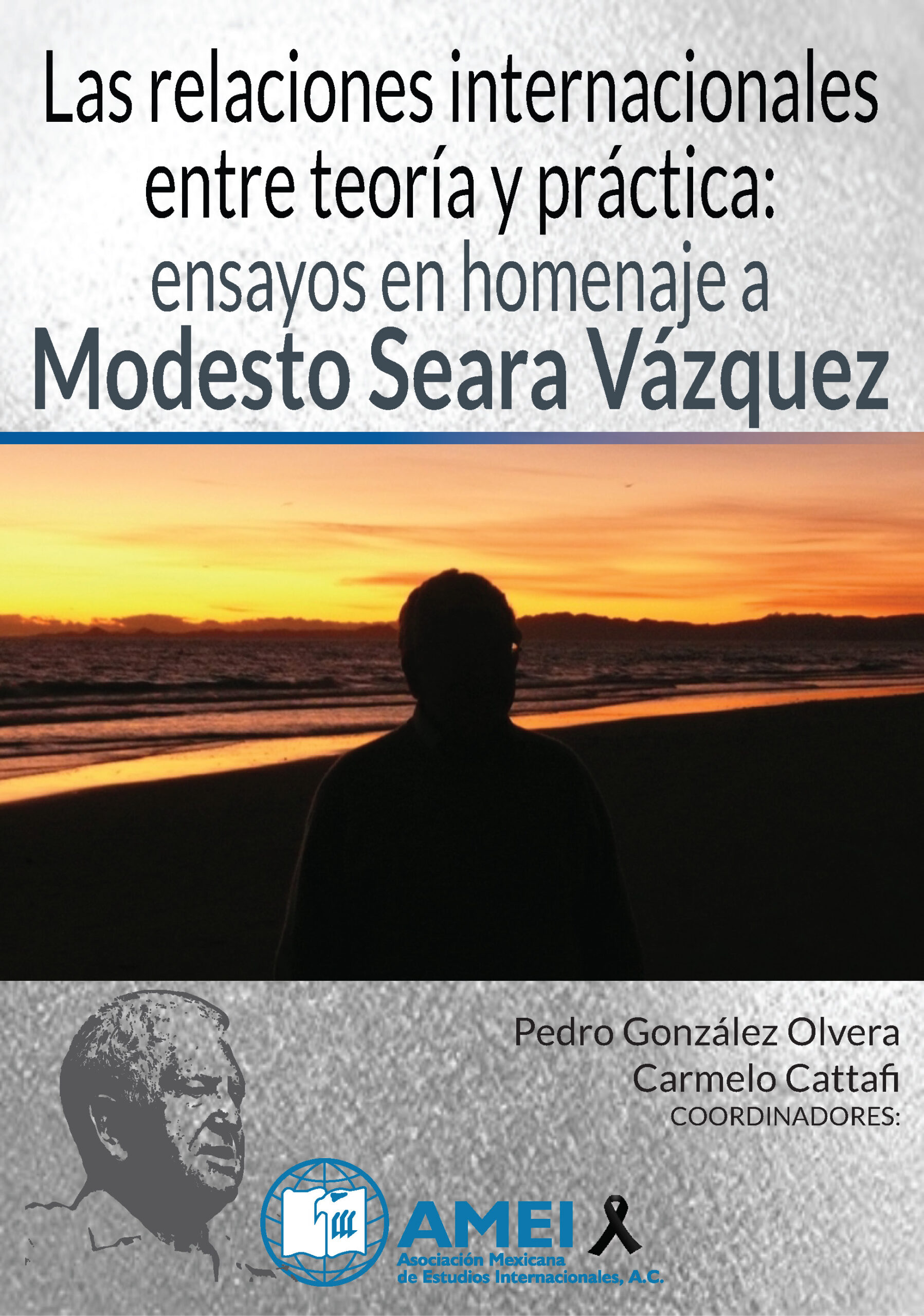 Las relaciones internacionales entre teoría y práctica: ensayos en homenaje a Modesto Seara Vázquez Book Cover